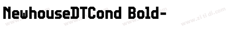 NewhouseDTCond Bold字体转换
